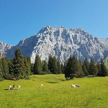 Alpenpanorama Ohlstadt