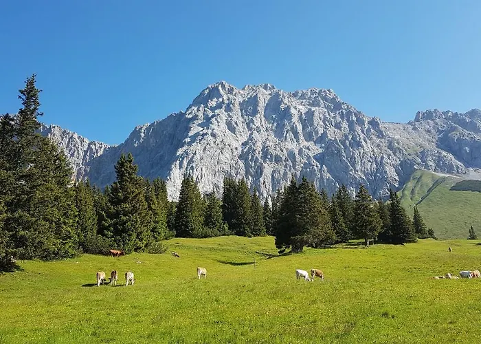 Alpenpanorama Ohlstadt